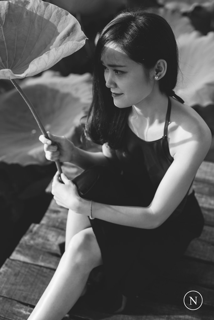 后浪在线观看免费全集电视剧